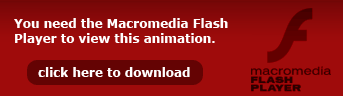 this is not flash